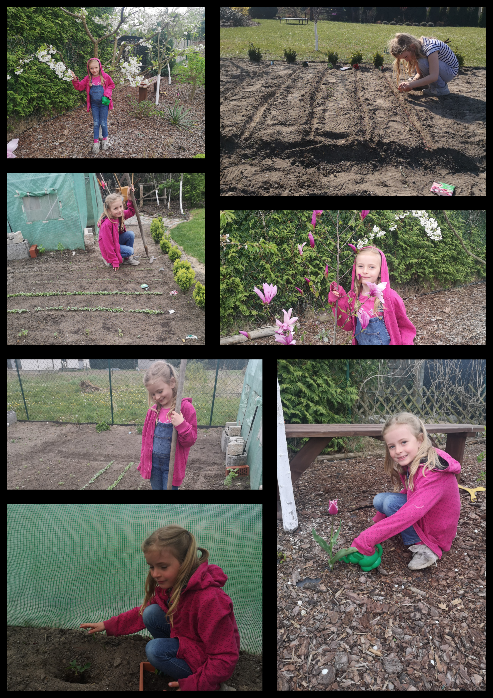 Na kolażu 7 zdjęć dziewczynki w ogrodzie. Sieje, podlewa i sadzi rośliny.