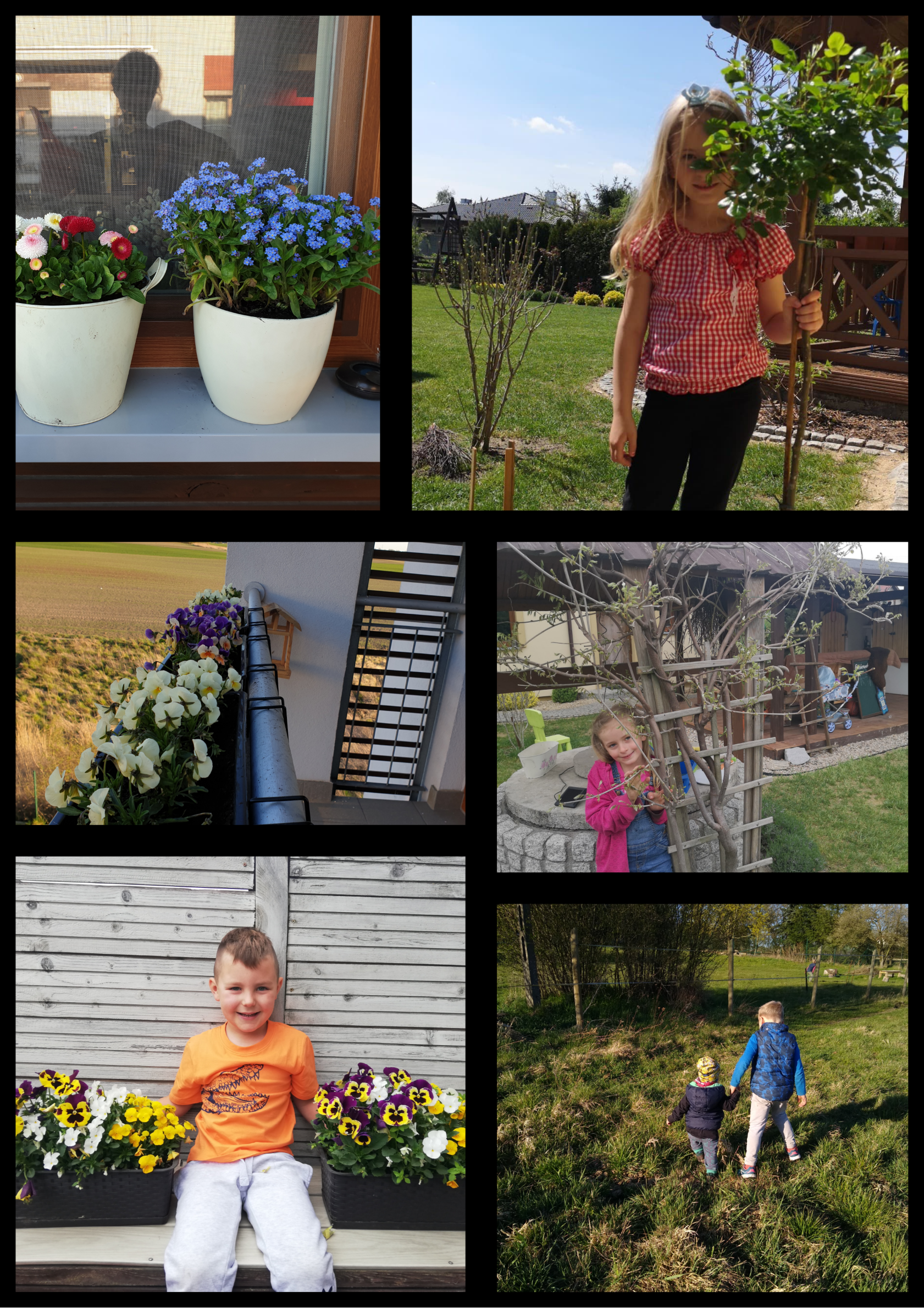 Na kolażu 6 zdjęć dziewczynek i chłopców w ogrodzie pozujących wśród kwiatów.