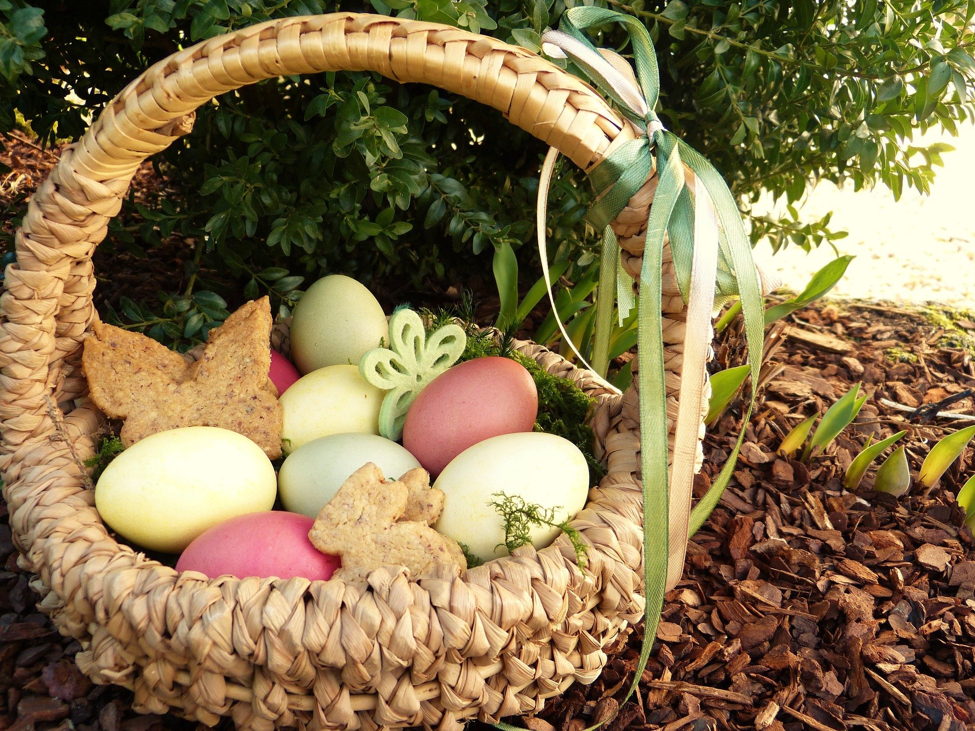 Na zdjęciu wiklinowy koszyk wielkanocny stojący w ogrodzie, z kolorowymi jajami w środku, zajączkami z pieczywa i zielonymi ozdobami. Za nim bukszpan, pod nim kora. Źródło: pixabay.com