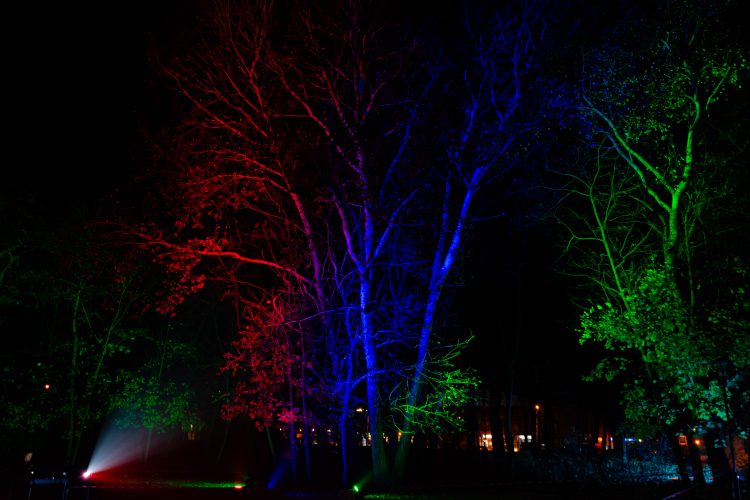 Na zdjęciu widać drzewa podświetlone kolejno na czerwono, niebiesko i zielono. Po lewej stronie u dołu zdjęcia widać lampę oświetlającą z ziemi drzewa.