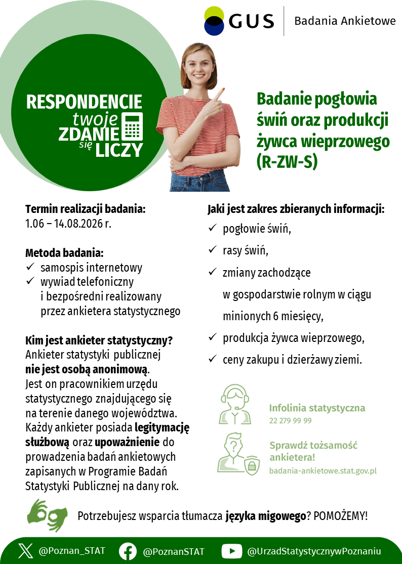 Plakat GUS promujący badanie &bdquo;Badanie pogłowia świń oraz&nbsp;produkcji żywca wieprzowego (R-ZW-S)&rdquo;. Po lewej stronie znajduje się zielone koło z&nbsp;hasłem &bdquo;Respondencie, Twoje zdanie się liczy&rdquo;. W centralnej części widoczna jest uśmiechnięta kobieta wskazująca na&nbsp;tytuł badania. Termin realizacji: 1 czerwca &ndash; 14 sierpnia 2026 r. Badanie prowadzone jest poprzez samospis internetowy oraz&nbsp;wywiad telefoniczny i&nbsp;bezpośredni realizowany przez ankietera statystycznego. Plakat informuje, że&nbsp;ankieter jest pracownikiem urzędu statystycznego, posiada legitymację służbową i&nbsp;upoważnienie do prowadzenia badań. Zakres badania obejmuje m.in. pogłowie i&nbsp;rasy świń, zmiany w&nbsp;gospodarstwie rolnym w&nbsp;ciągu ostatnich 6 miesięcy, produkcję żywca wieprzowego oraz&nbsp;ceny zakupu i&nbsp;dzierżawy ziemi. Na plakacie podano numer infolinii statystycznej 22 279 99 99 oraz&nbsp;adres strony badania-ankietowe.stat.gov.pl, gdzie można sprawdzić tożsamość ankietera. W dolnej części znajdują się informacje o&nbsp;możliwości skorzystania z&nbsp;tłumacza języka migowego oraz&nbsp;profile Urzędu Statystycznego w&nbsp;Poznaniu w&nbsp;mediach społecznościowych.