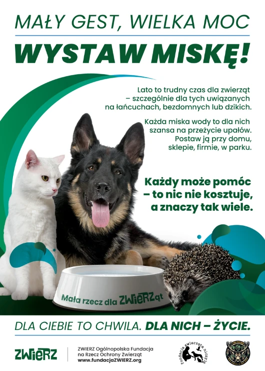 Pies, kot i&nbsp;jeż, zielono-biała kolorystyka, grafika informująca o&nbsp;Kampanii "Mały gest, wielka moc - wystaw miskę"