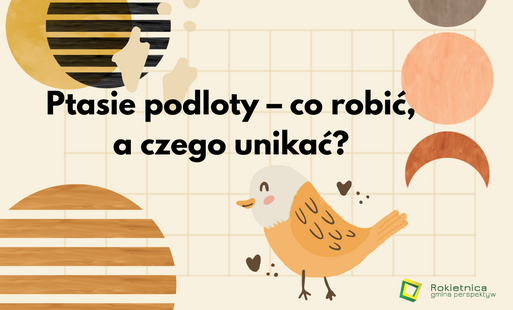 Grafika: pomarańczowy ptaszek, kształty i napis Ptasie podloty – co robić,  a czego unikać?