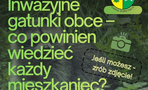 Grafika informująca o zgłoszeniach Inwazyjnych Gatunków Obcych. Herb Gminy Rokietnica. Zdjęcie żółwia ozdobnego, czebaczka amurskiego oraz barszczu Sosnowskiego. Inwazyjne gatunki obce - co powinien wiedzieć każdy Jeśli możesz - zrób zdjęcie! mieszkaniec?