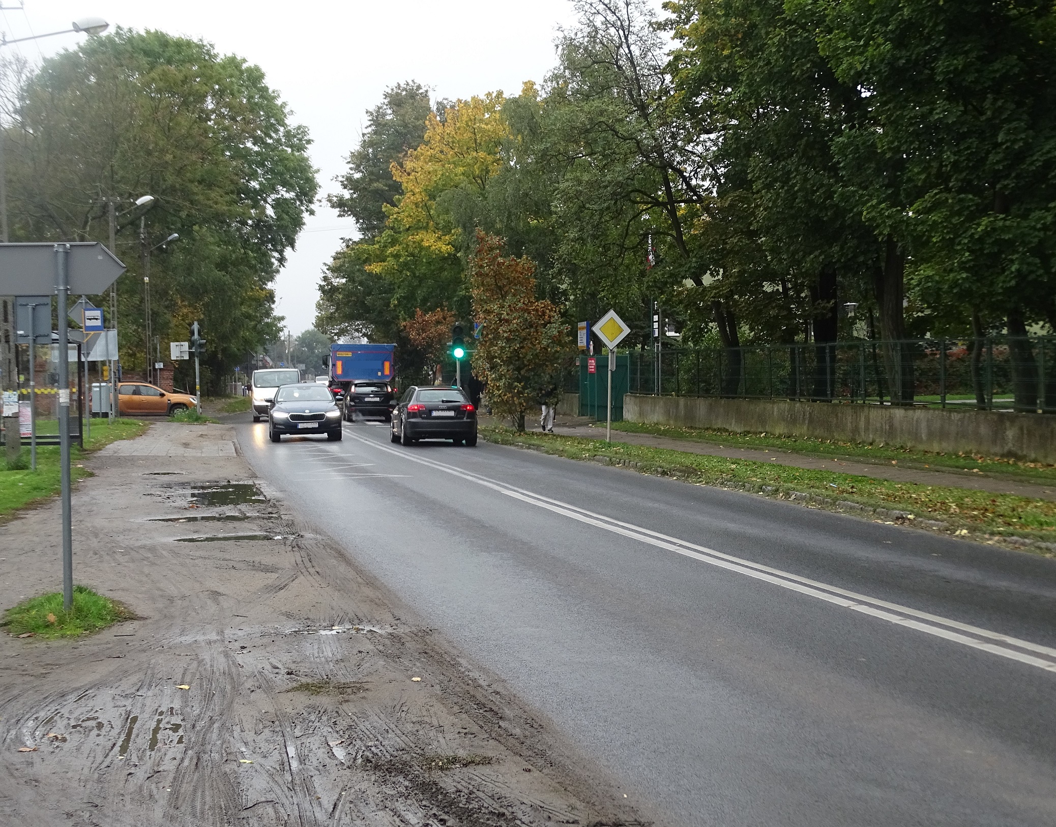 Na zdjęciu widać ulicę asfaltową z dołu prawej strony, w kierunku lewej strony (środek zdjęcia). Po lewej stronie błotniste pobocze, po prawej pas zieleni i chodnik, a dalej płot i drzewa. Na ulicy w obu kierunkach jadą samochody. W dalszej perspektywie drzewa.